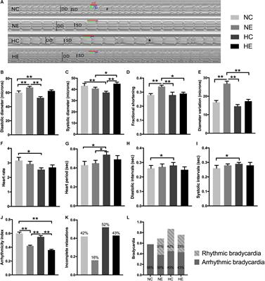 Effects of Modest Hypoxia and Exercise on Cardiac Function, Sleep-Activity, Negative Geotaxis Behavior of Aged Female Drosophila